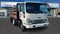 2025 Chevrolet Low Cab Forward 4500 MEDIUM ASH GRAY