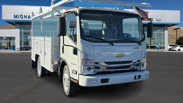 2025 Chevrolet Low Cab Forward 4500 MEDIUM ASH GREY