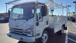 2025 Chevrolet Low Cab Forward 4500 MEDIUM ASH GREY