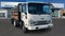 2025 Chevrolet Low Cab Forward 4500 MEDIUM ASH GREY