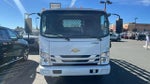 2025 Chevrolet Low Cab Forward 5500 XG MEDIUM ASH GRAY